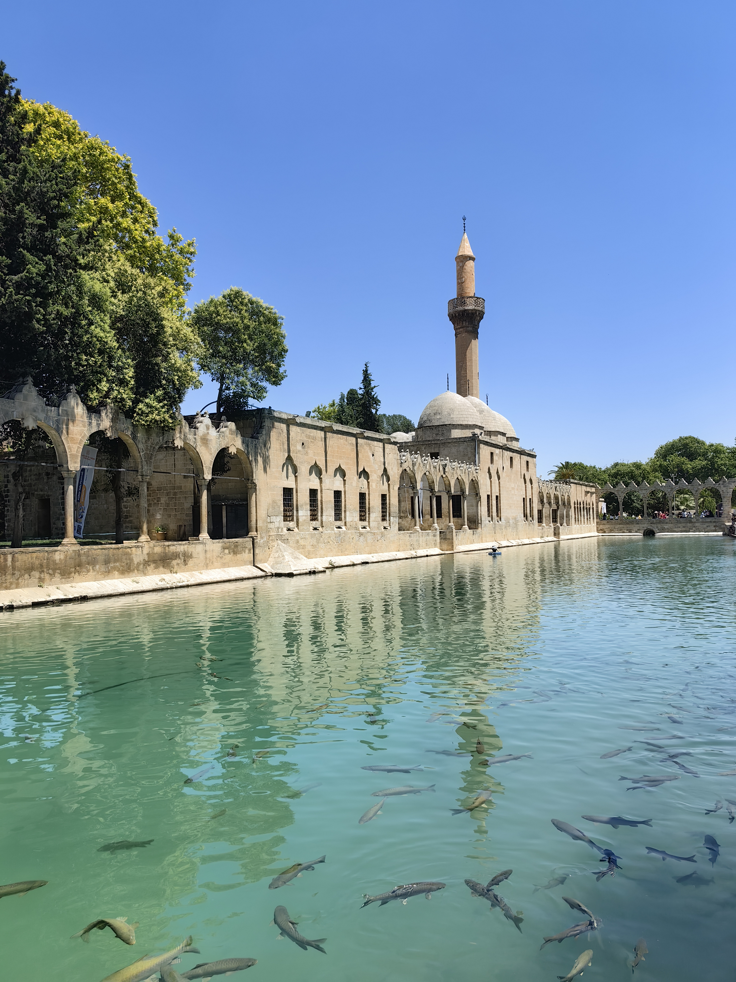 Dünya ve Türkiye'de Turizm